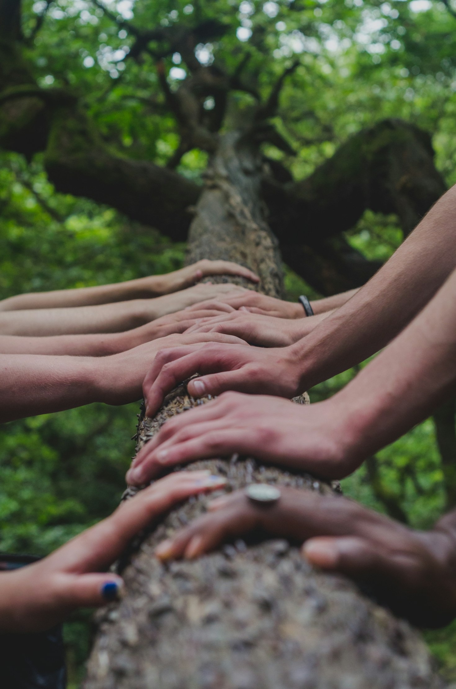 Youth Perspectives on Social Transformation